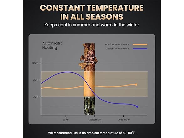 Mojgar 50L Thermostatic Electric Humidor, 300 Counts Large C (Open Box)