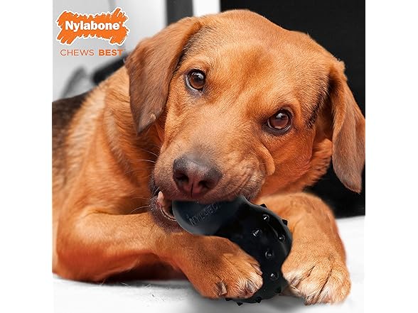 Nylabone Strong MAX Chew Cone Toy