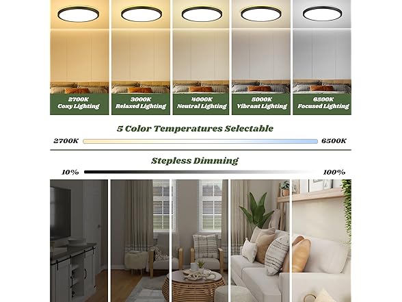 Brightever Black 12" Ceiling Lamp