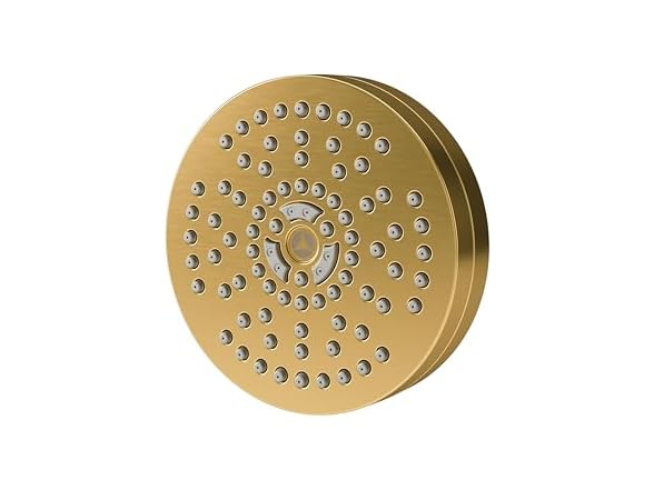 Symmons HydroMersion Contemporary Showerhead