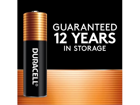 Duracell Coppertop AAA Batteries, 16