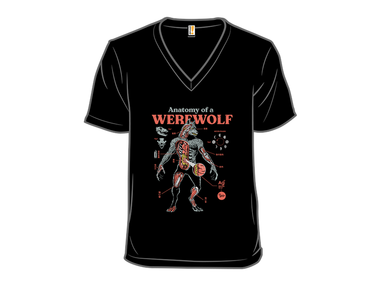 Werewolf Anatomy