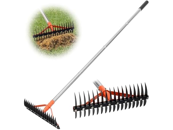 $21.99, Was $49.99, 56% Off! CKLT 18-Tine Thatch Rake 62.5in Handle dealfomo