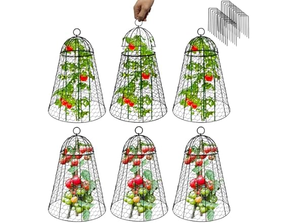 Sapbontchi XL Garden Cloches 6-Pack