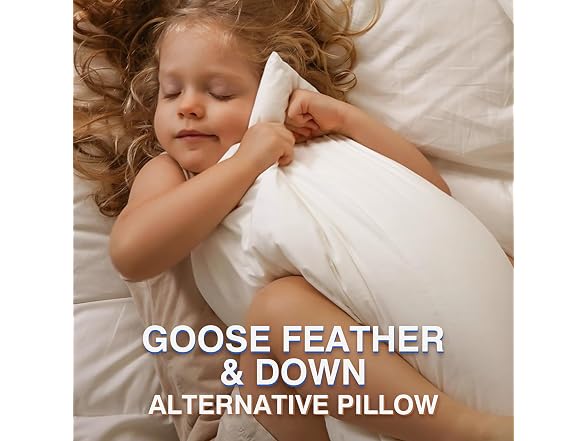 zibroges Feather Pillows Queen Set of 2