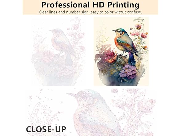 Rebotipy Bird Paint by Numbers for Adults