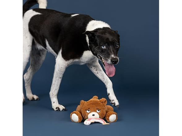 Fringe Studio The Bear Necessities Plush Dog Toy