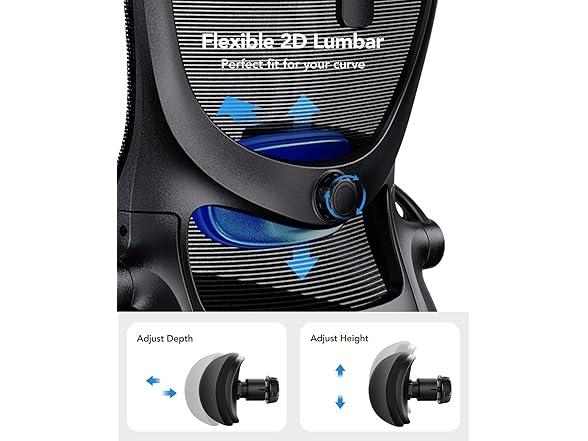 HUANUO W1101 Ergonomic Office Chair
