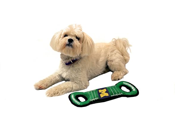 NCAA Football Field Dog Toy with Squeaker Michigan Wolverines