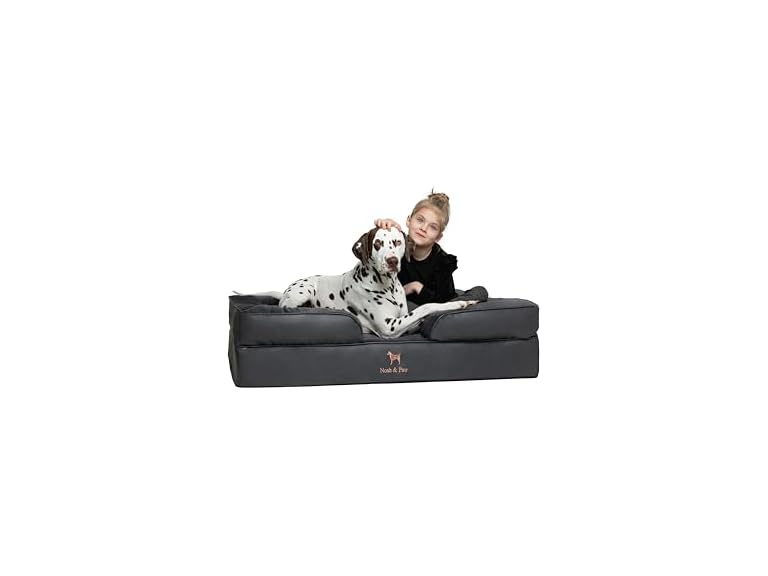 NOAH & PAW SO-LE-BLK-XL XL NOAH & PAW Dog Bed - Sofa C