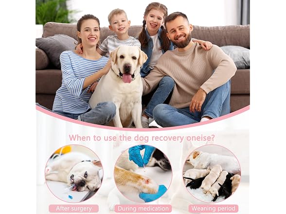 Etdane Dog Recovery Suit for Female Male Dog