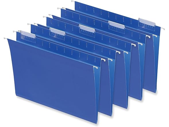 Hanging File Folders, 25/Box