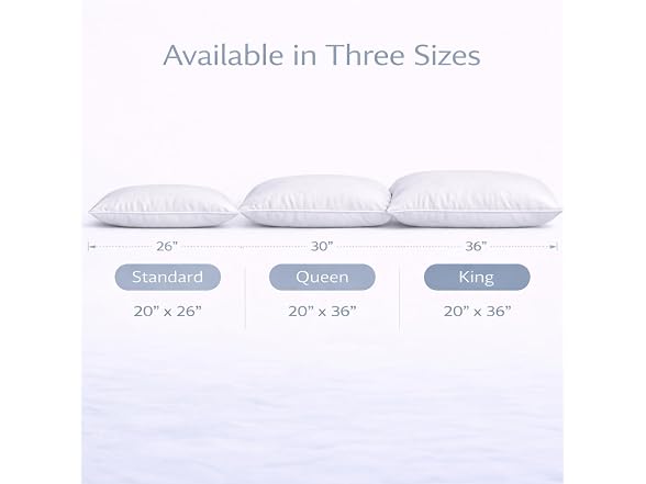 White Down Pillow and Cotton Protector