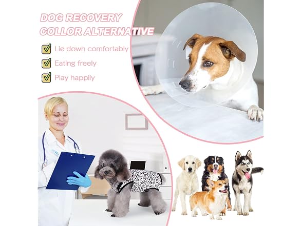 Etdane Dog Recovery Suit for Female Male Dog