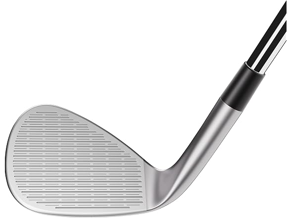 TaylorMade Golf -HI-TOE3 Wedge Chrome Low Bounce 58.07/Right Hand Stiff (Right Hand)