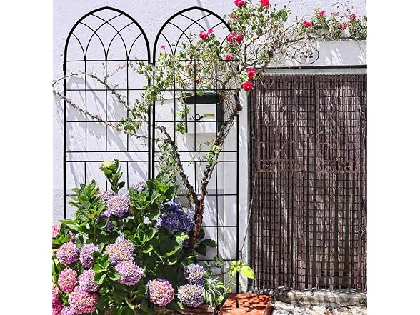 LZRS 4 Pack 71x20in Garden Trellis