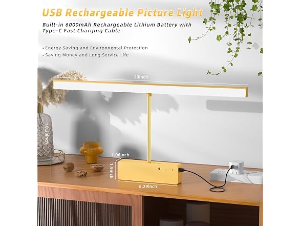 Lightbiz Picture Light 20in Gold