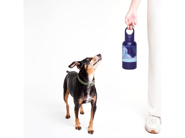 Ubbi Pet x Karim Rashid Collaboration, P