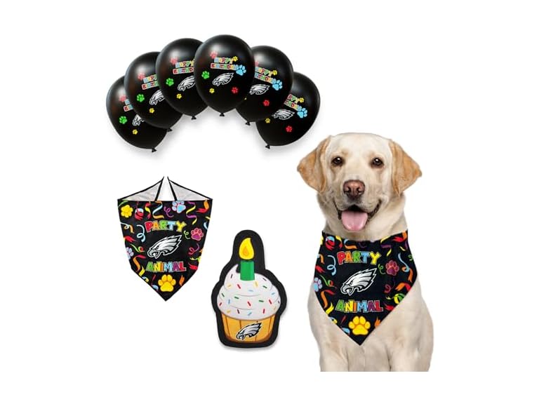 Pets First NFL Oakland Raiders Dog Birthday Party Set