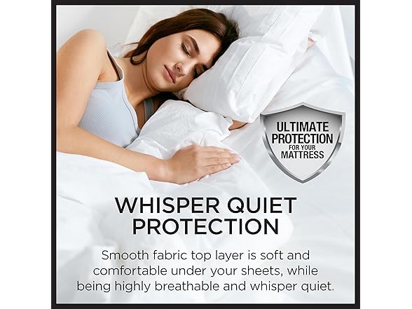 Protect-A-Bed Essential Zippered Mattress Case, Queen