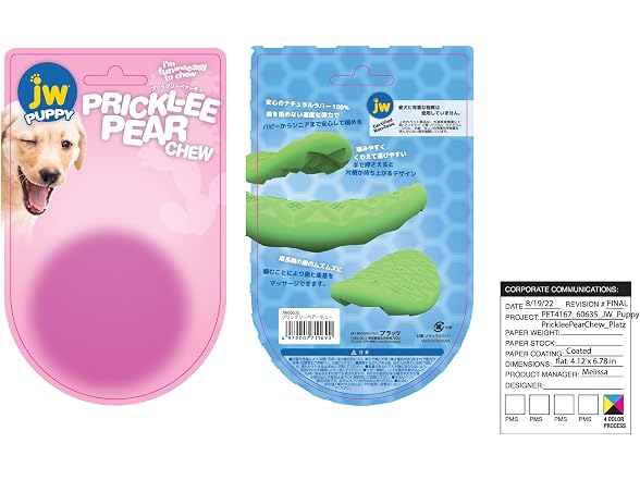 JW Prickl-ee Pear Puppy Teether Chew Toy