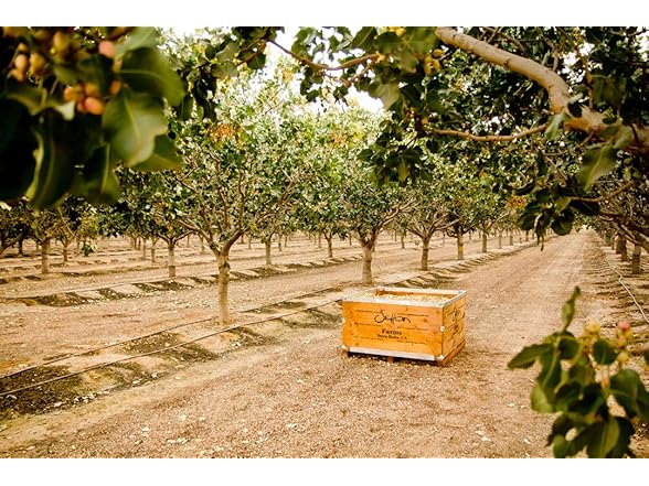 Setton Farms Premium Organic Pistachios, 7 oz