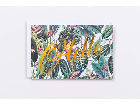 Polite Society Assorted Greeting Cards