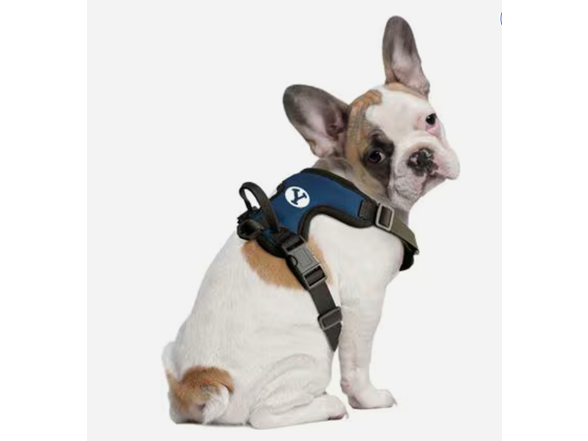 Littlearth NCAA BYU Cougars Front Clip Pet Harness