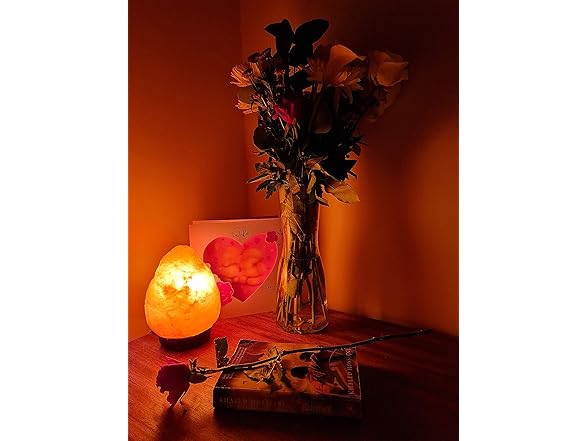 Needs&Gifts Himalayan Salt Lamp