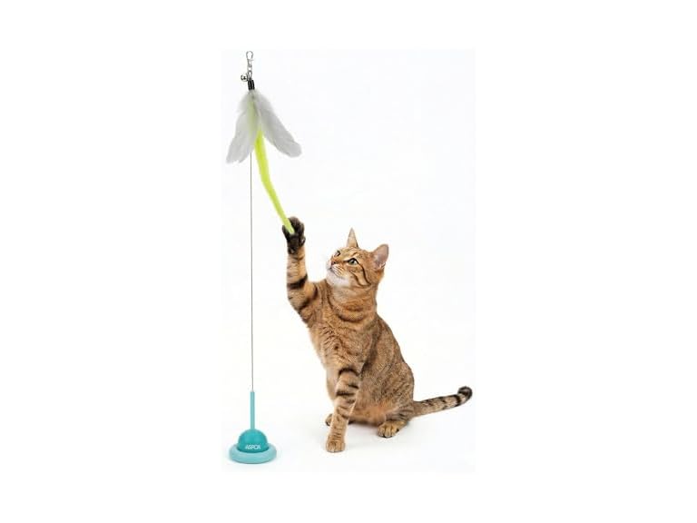 ASPCA Suction Cup Cat Toy Interactive Wand, Blue