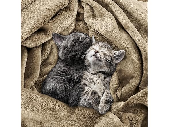 Utopia Bedding Fleece Blanket King Size