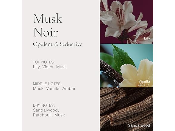 CLEAN H2EAU Musk Noir 3.4 Fl Oz