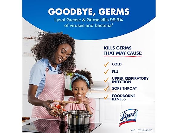 Lysol Pro Kitchen Spray 22oz (1ct)