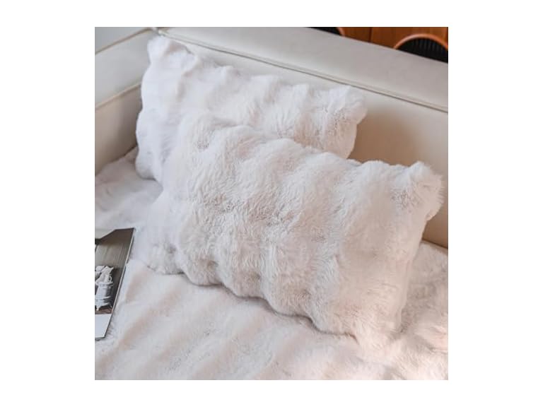 Cozy Faux Fur Throw Pillow Covers 2 Pack