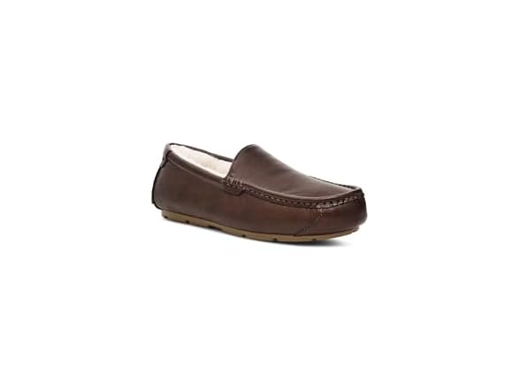 Chocolate Brown