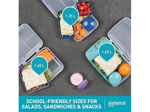 Sistema TO GO Bento Box