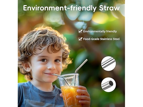 Reusable Stainless Steel Metal Straws