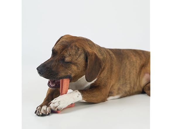 SPOT Bam-Bones Plus Coffee Wood T-Bone Dog Chew Toy, Beef