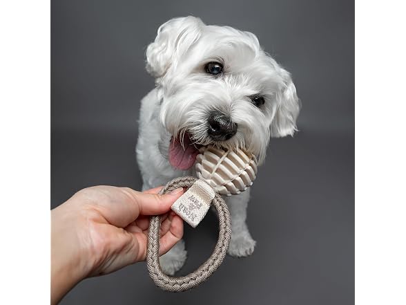 NOAH & PAW Luxury Dog Toy, TPU- Tug Ball, Beige