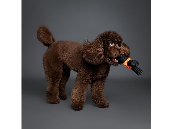 NOAH & PAW Luxury Dog Toy, Dog Rope Toy- Y Flyer, Black