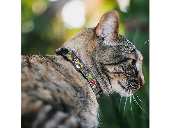 Teenage Mutant Ninja Turtles Breakaway Cat C