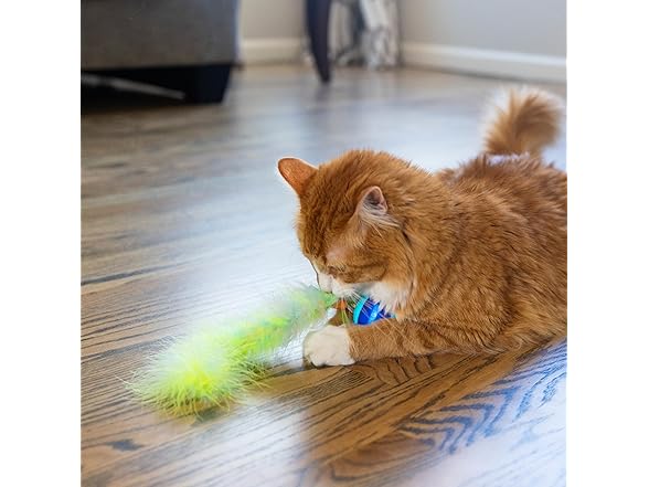 Catstages Roll & Chase Robot Toy