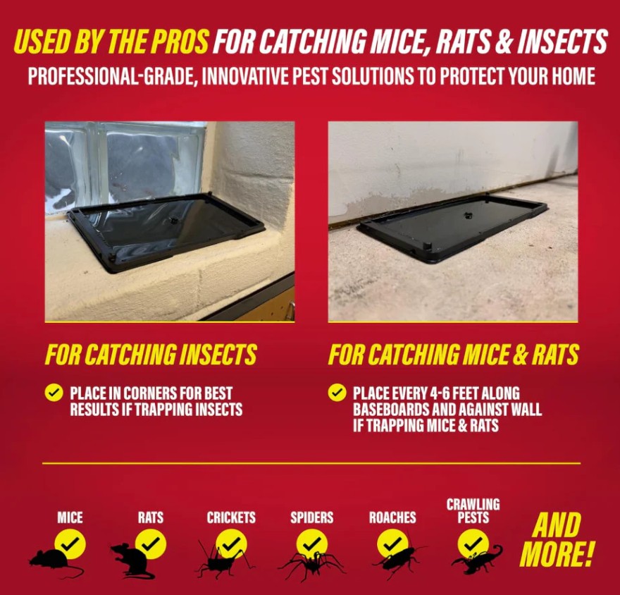 Hakol 10PK Large Glue Traps  Rats, Mice, Snakes & Crawling Insects - Gallery 13