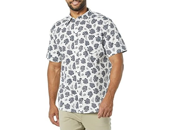 White Navy Palm Tree