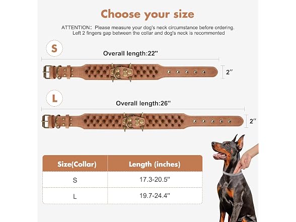 Spiked Studded Dog Collar