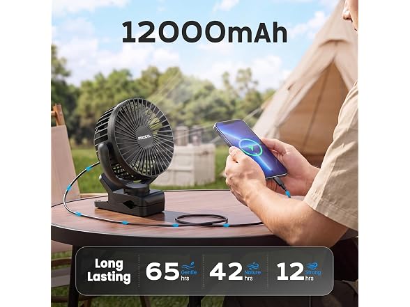 FRIZCOL Clip on Fan Black