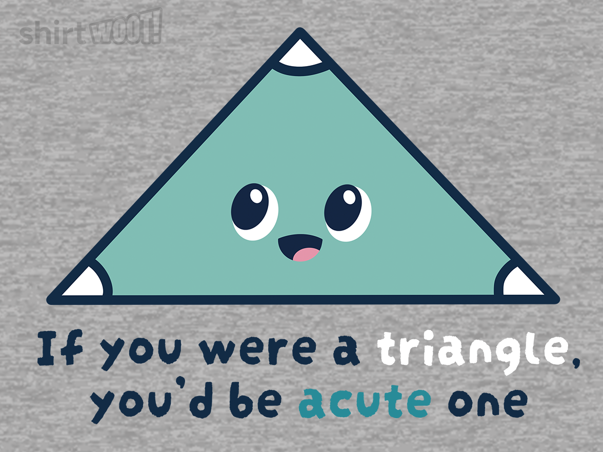 You're Acute Triangle - Gallery 9