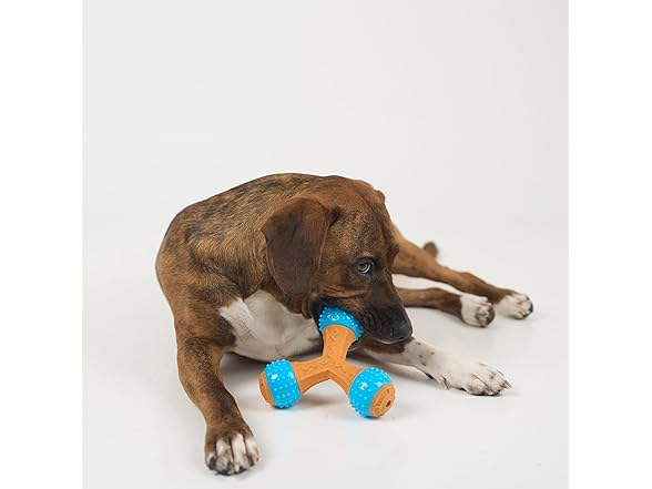 SPOT Bam-Bones PLUS Gigglers Dog Toy