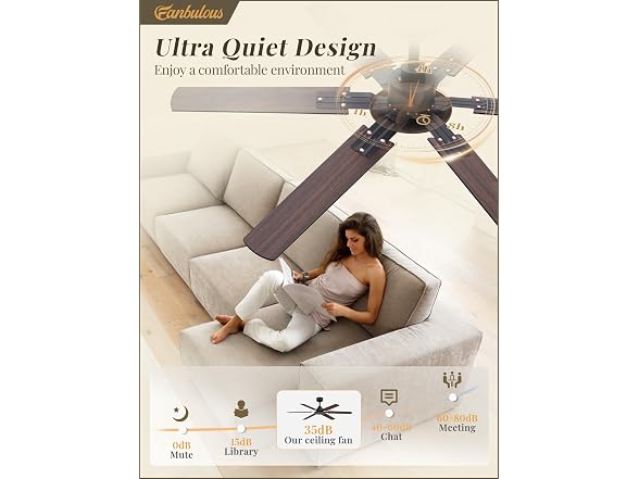 Fanbulous Black 48” Ceiling Fan with Lights