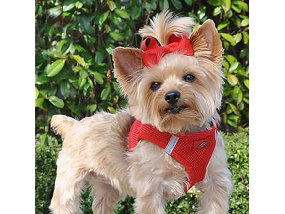 Doggie Design American River Ultra Choke